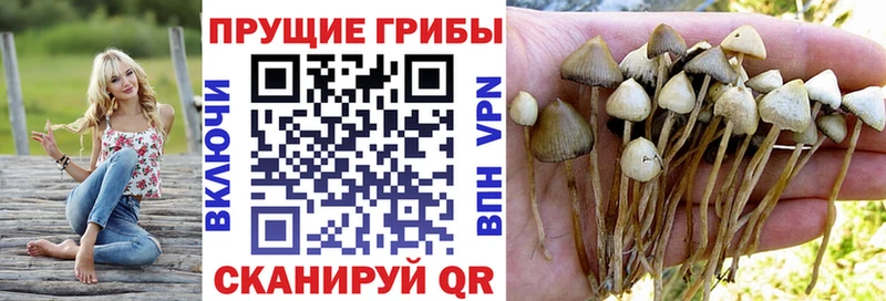 Галлюциногенные грибы Magic Shrooms  Долинск 